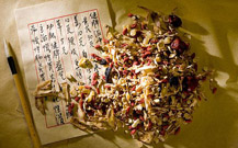 ��ҽ����ţƤѢ